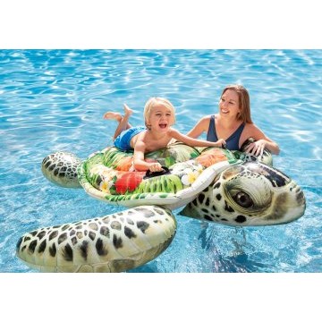 Tortue reality 1.91x1.70m
